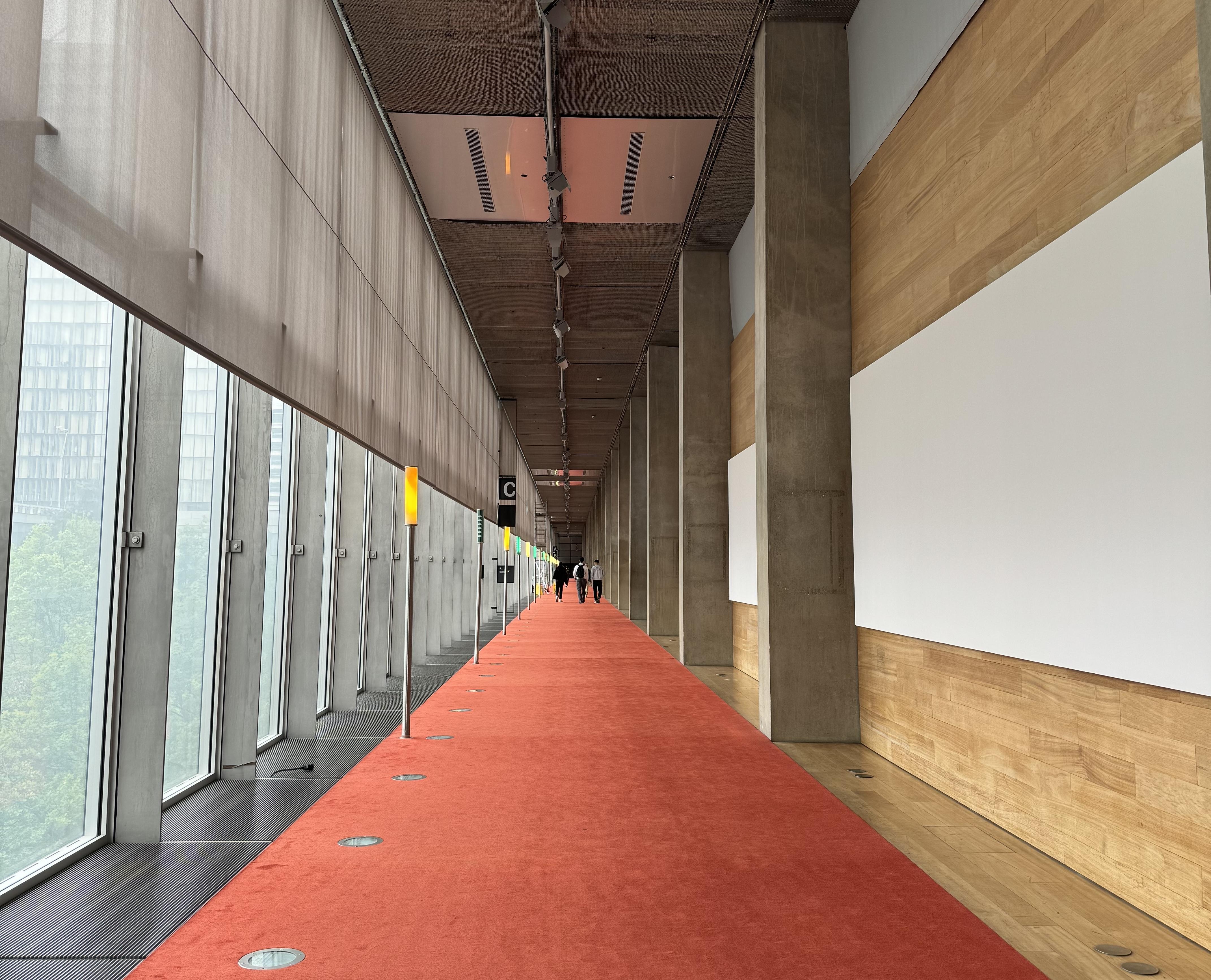 the hallway of a library. there's a red carpet in the centre. On one side there's windows, and on the other side there's a wall which has blank panels