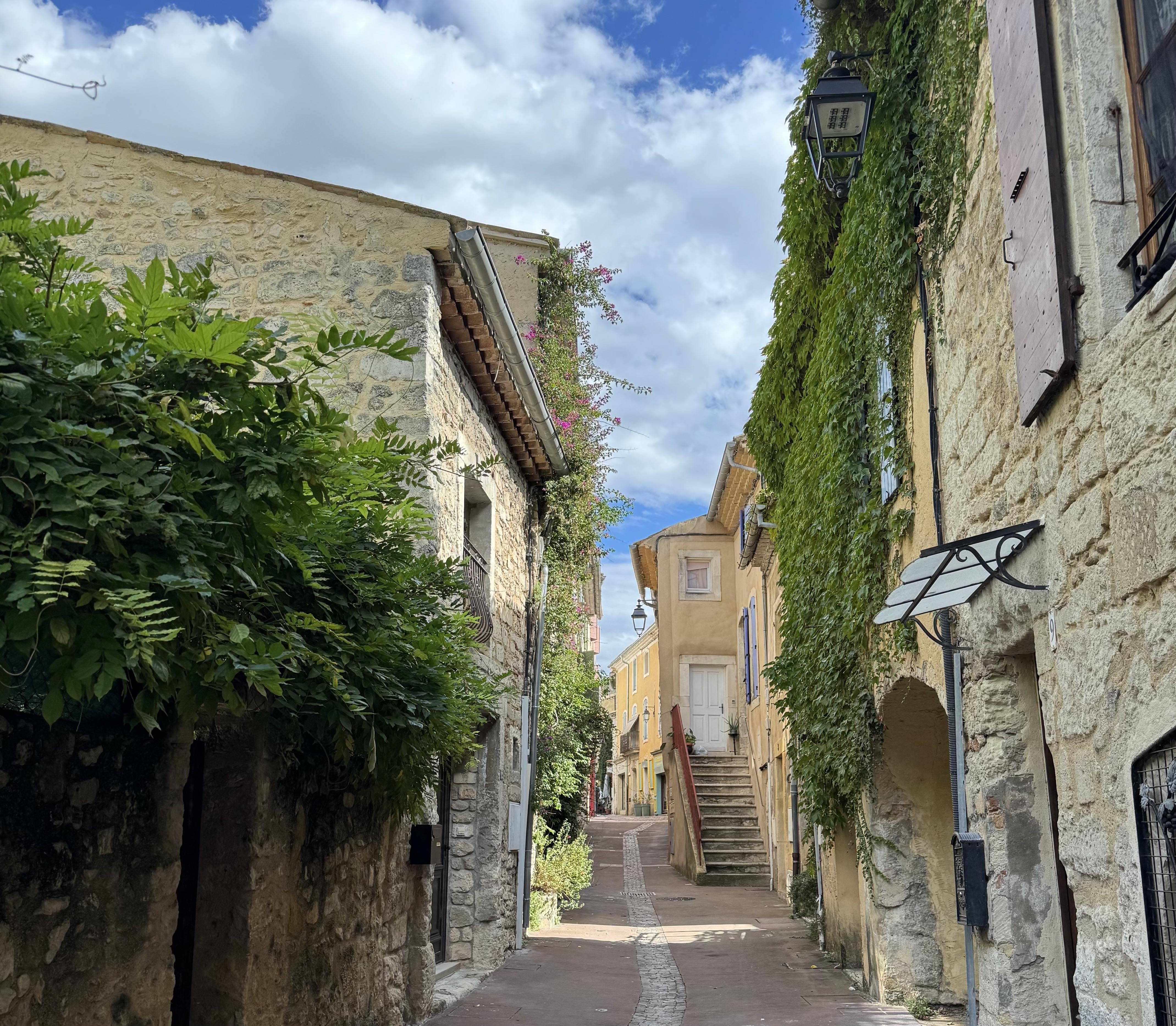 a small side street with houses on either side. The houses have plants on them
