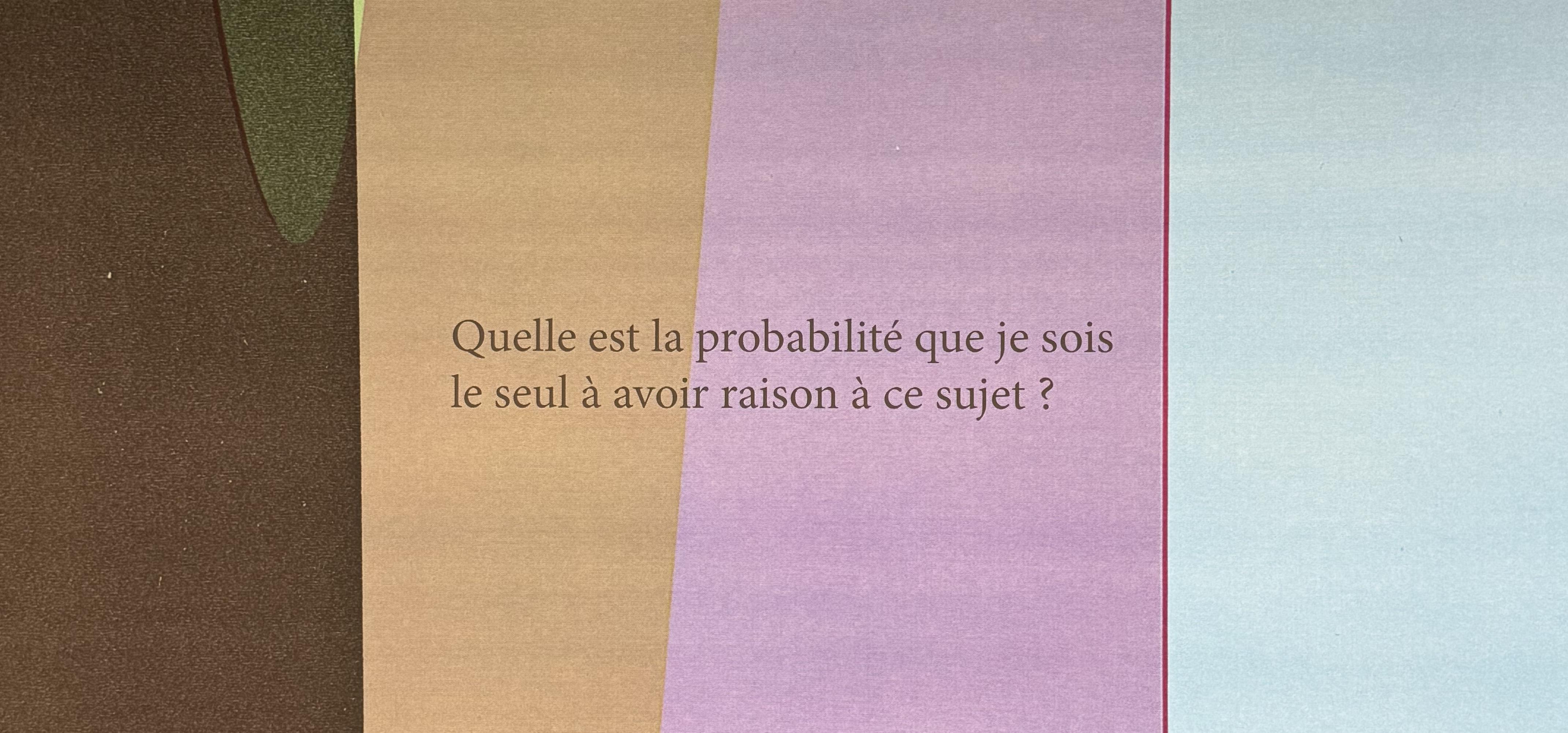 text over coloured background (brown, orange, pink, red and light blue). The text says 'quelle est la probablité que je sois le seul à avoir raison à ce sujet'