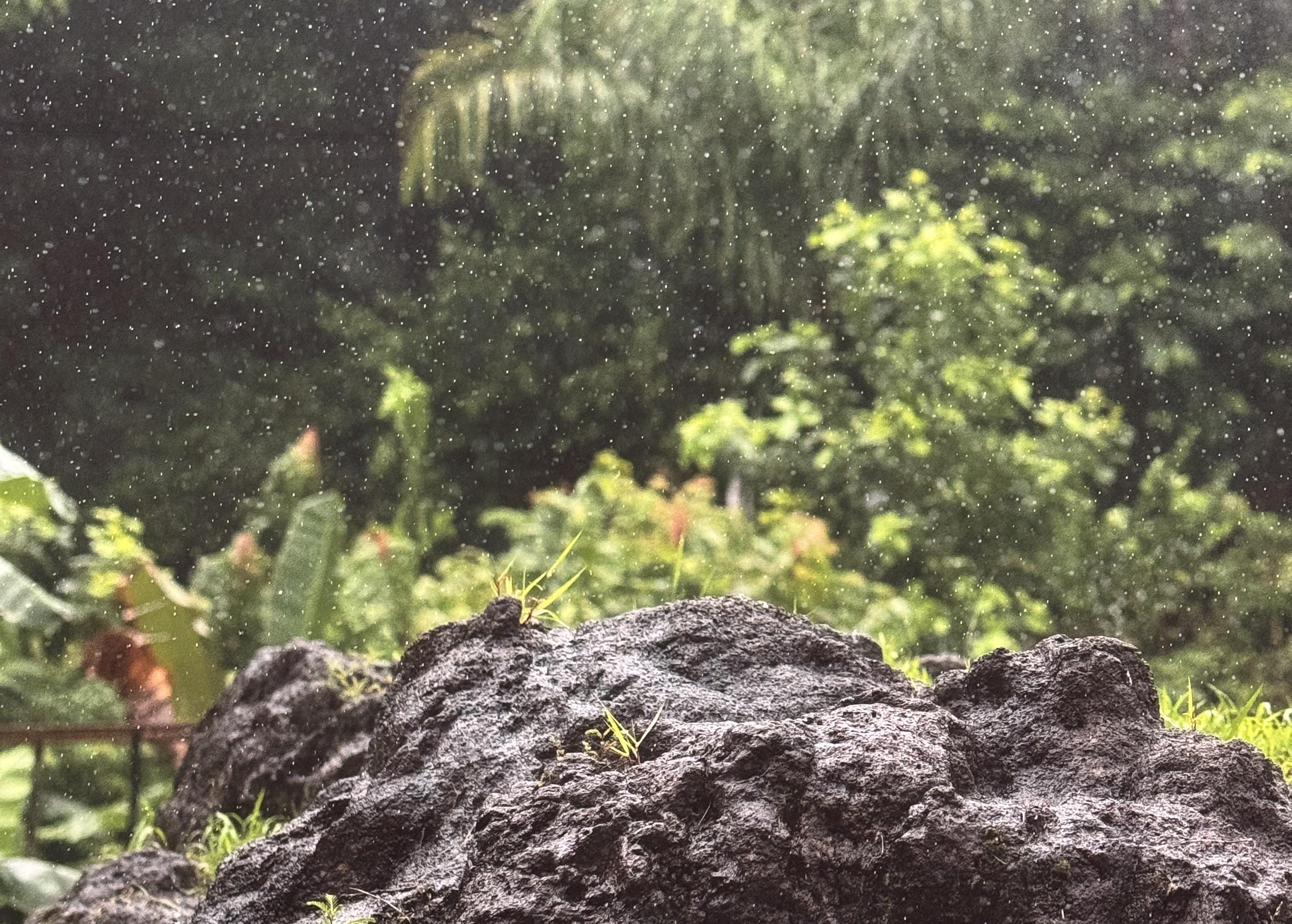 photographic artwork by Wolfgang Tillmans