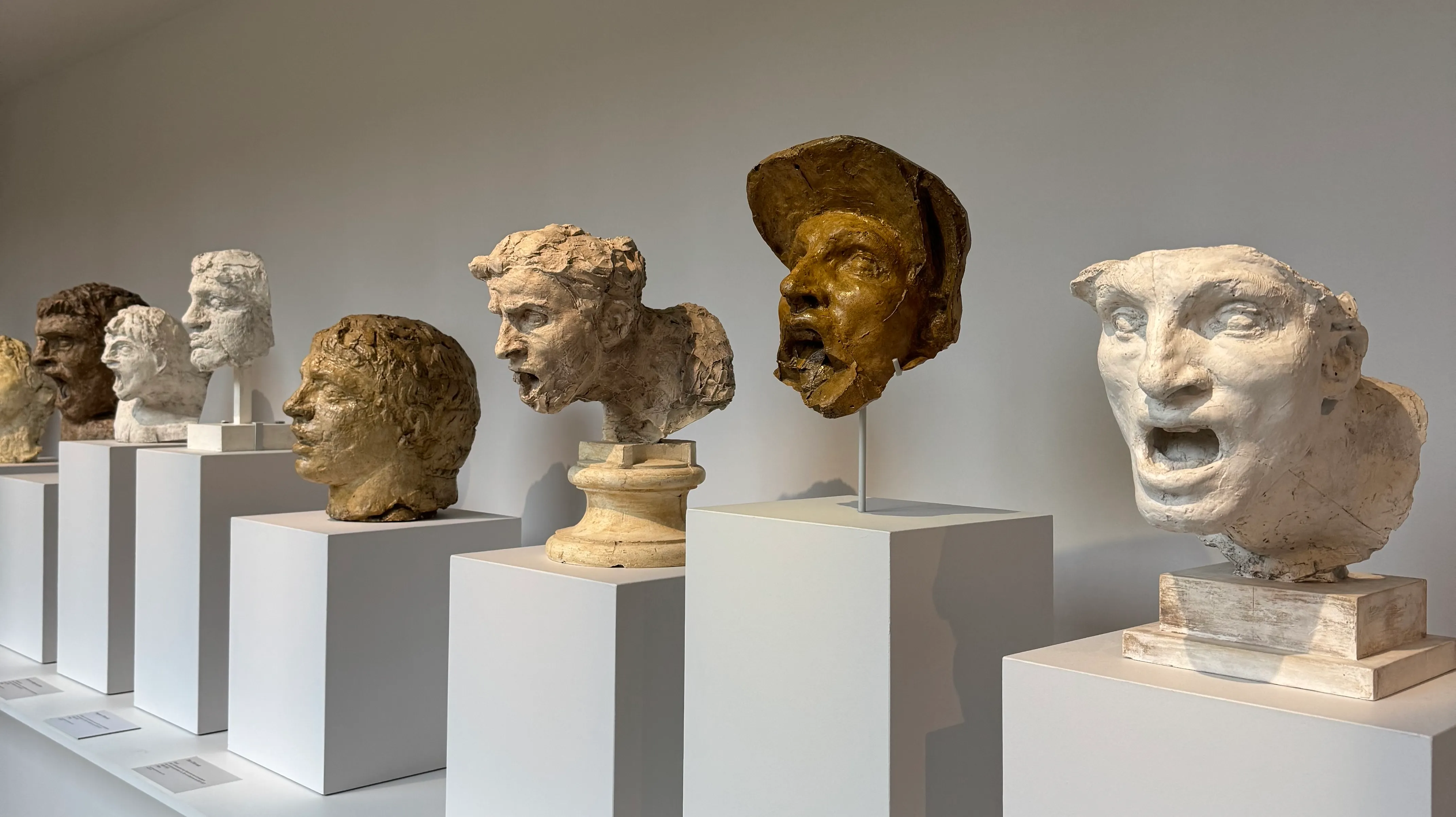 seven head sculptures