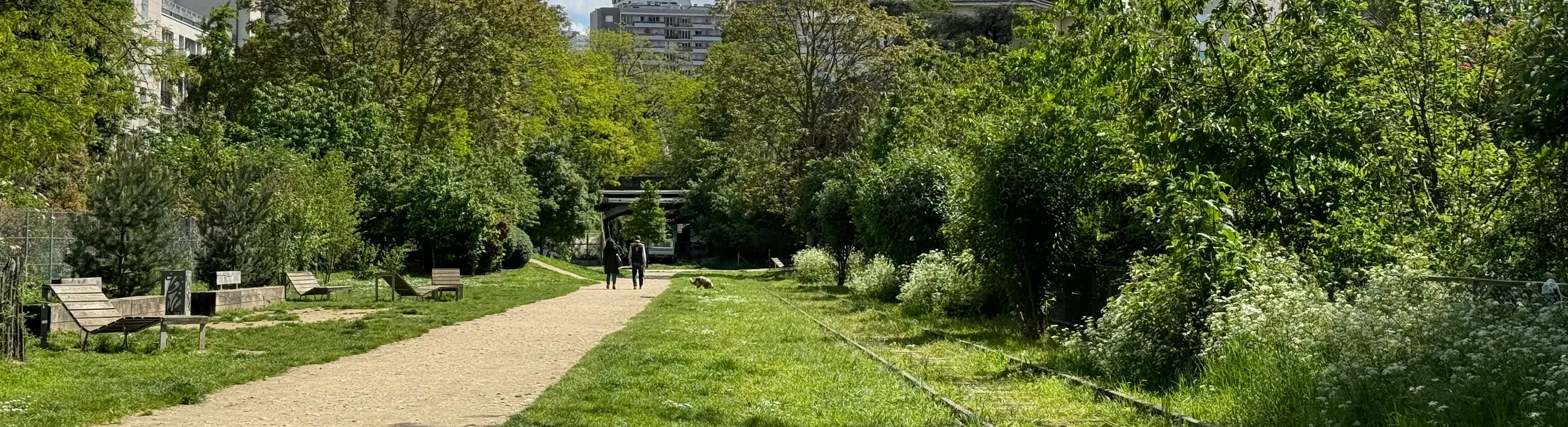 the petite ceinture