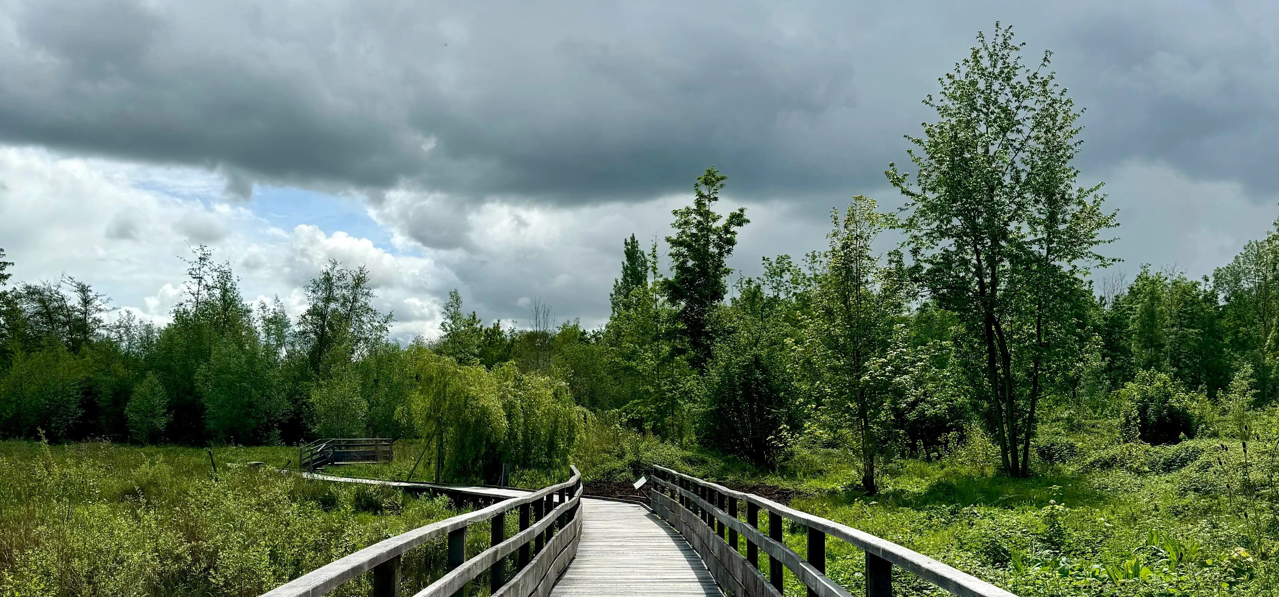 path over water