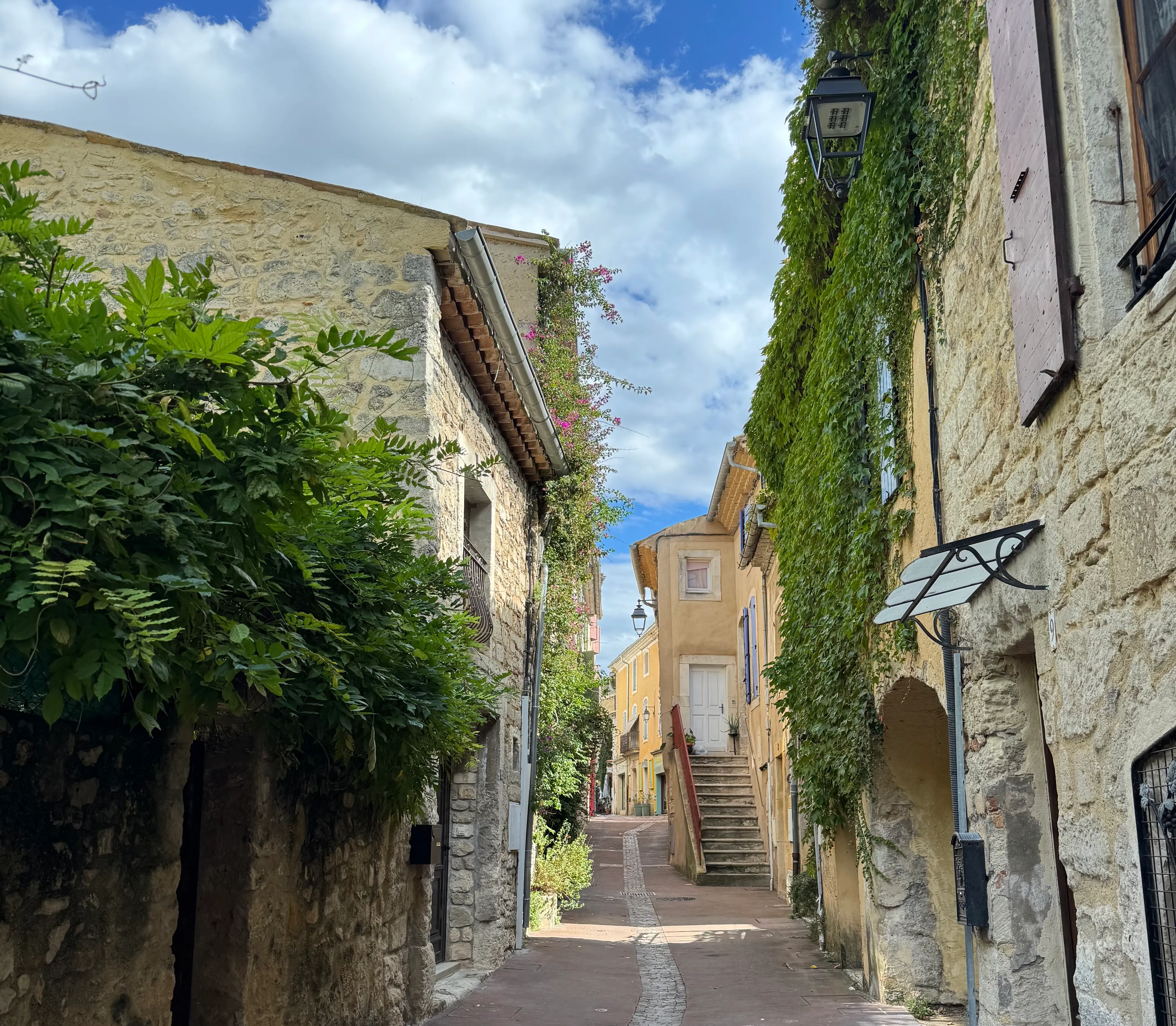 a small side street with houses on either side. The houses have plants on them