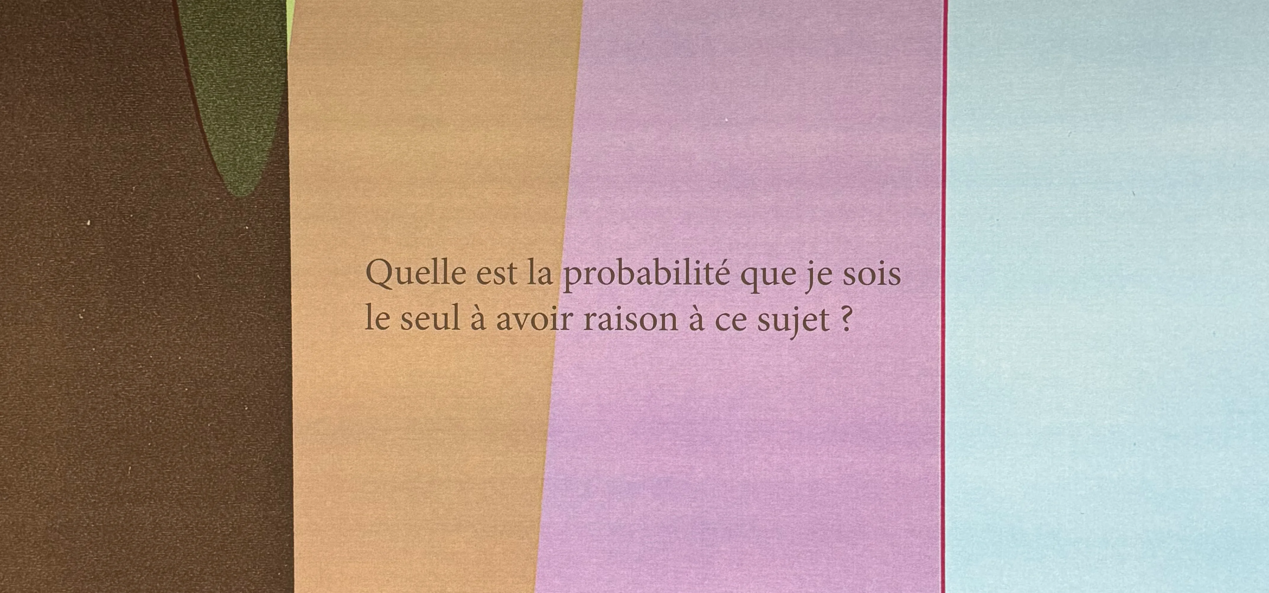 text over coloured background (brown, orange, pink, red and light blue). The text says &#x27;quelle est la probablité que je sois le seul à avoir raison à ce sujet&#x27;